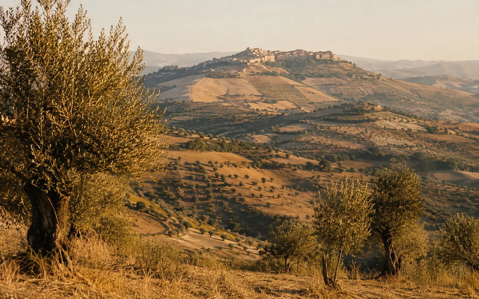 Le colline dorate della Sicilia interna vicino a Corleone al tramonto